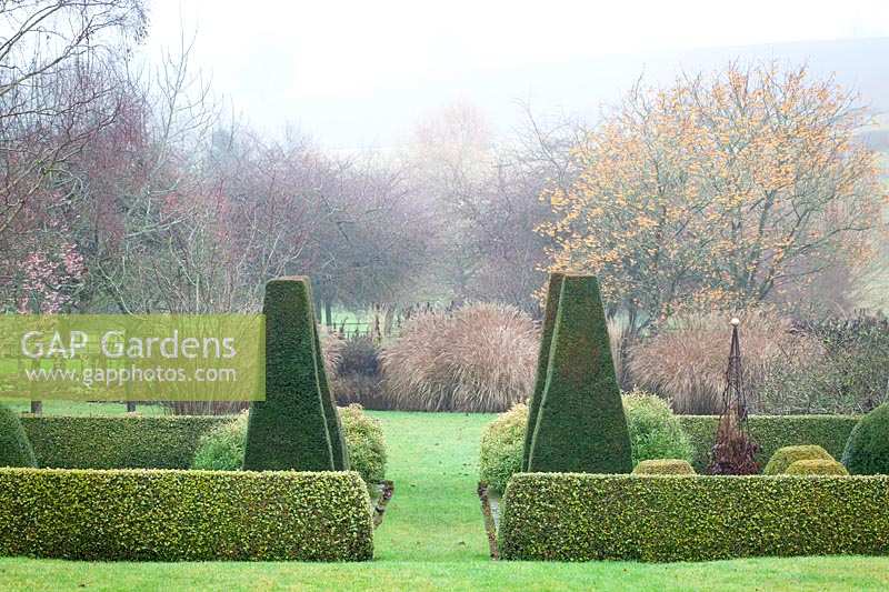 Clipped yew pillars and box hedging in the parterre at Pettifers. Taxus baccata, Buxus sempervirens
