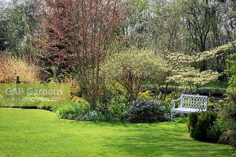 Bench and curving spring border in John Massey's garden with fresh spring leaves emerging on trees and well kept lawn.