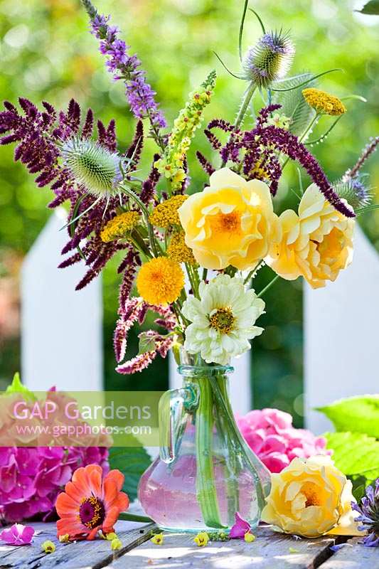 GAP Photos - Specialising in garden and plant photography