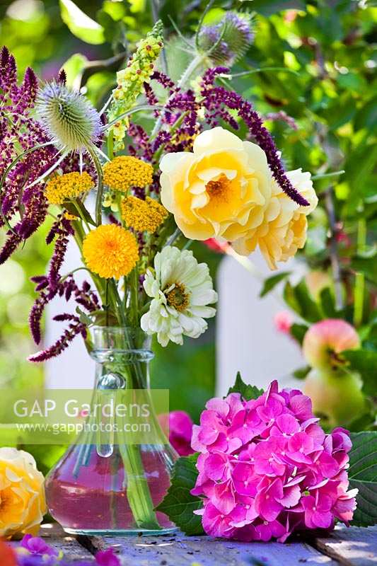 Summer floral arrangement in glass vase with Rosa, Hydrangea, Amaranthus, Zinnia, Dipsacus, Verbascum and Achillea.  