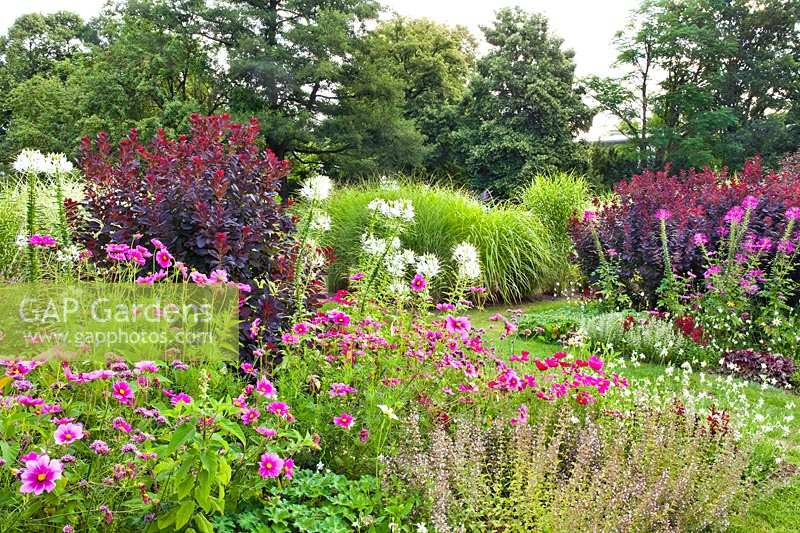 View of mixed planting in pink themed border. Weihenstephan Trial Garden, Germany.