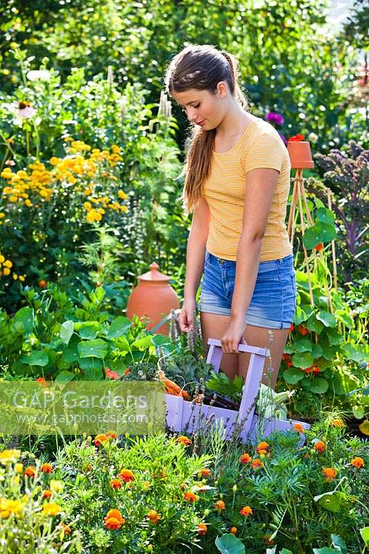 Girl with a trug of harvested vegetables in colourful garden. 