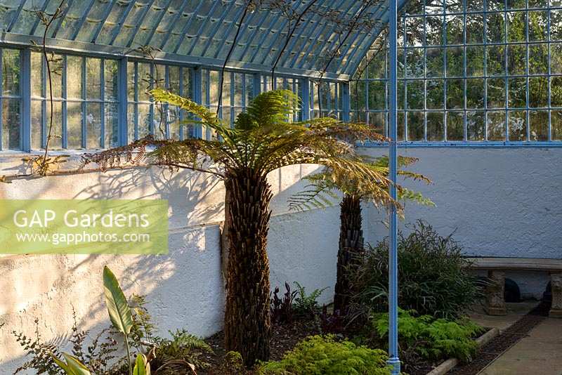 Inside grotto and fernery looking towards glass sides and roof