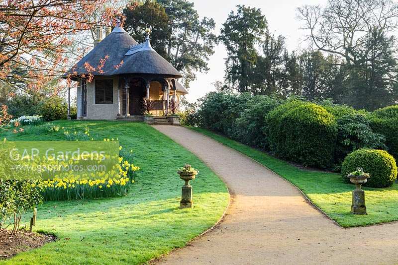 Path leading up to the Swiss Cottage with thatched roof, sloping lawn
 with daffodils and shrubs

