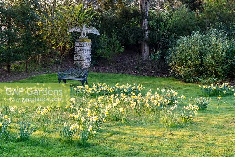 View across lawn with daffodils towards sculpture of eagle on plinth in a shrub
 border 