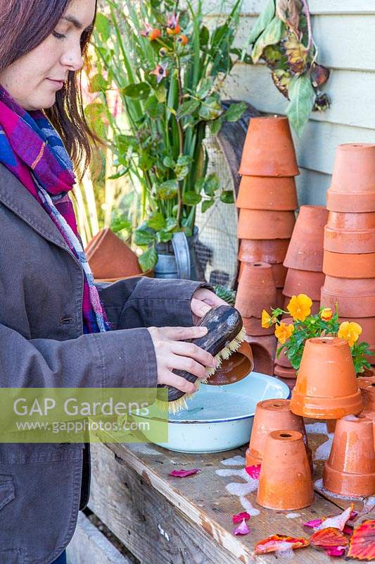 Woman washing dirty terracotta pots with wooden scrubbing brush in bowl of soapy water.