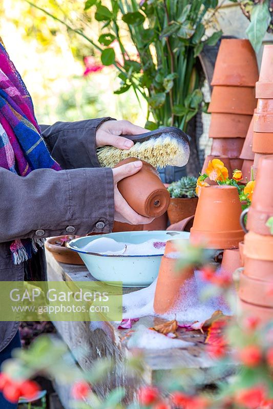 Woman washing dirty terracotta pots with wooden scrubbing brush in bowl of soapy water.