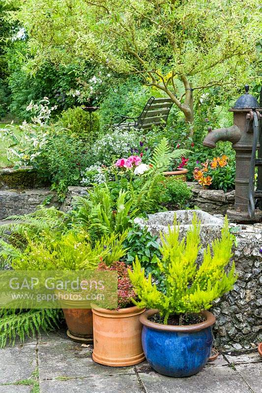 Colourful shrubs in containers beside old water pump.