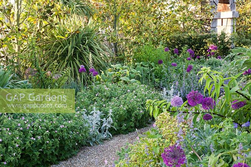 Pathway through summer border. Arundel Castle, West Sussex, UK