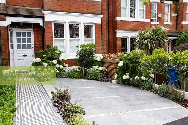 London house with black and white Victorian style tile path with Ilex Crenata Dark Green border and tiled driveway and wood batten bin store in background featuring Hydrangea arborescens Anabelle, 
Eriobotrya Coppertone standard, 
Pittosporum tenuifolium Tom Thumb, 
Carex oshimensis 'Everest' - Japanese Sedge 
