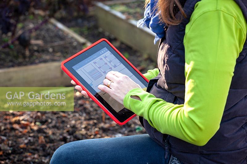 Woman planning a veg garden using a tablet.