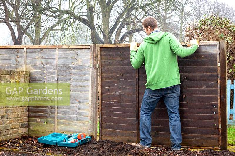 Man repairing wooden fence panels. 