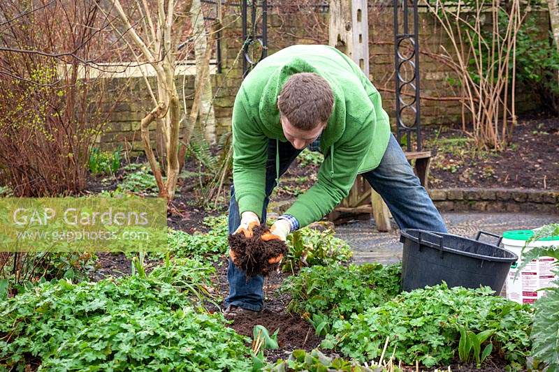 Man mulching a border. 