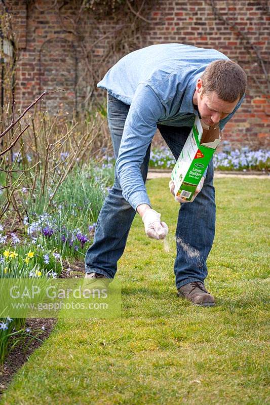Feeding a lawn with granular lawn feed fertiliser