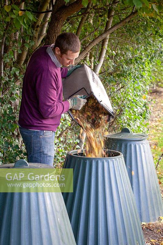 Man putting leaves that have been gathered and shredded using a mover into a compost bin.