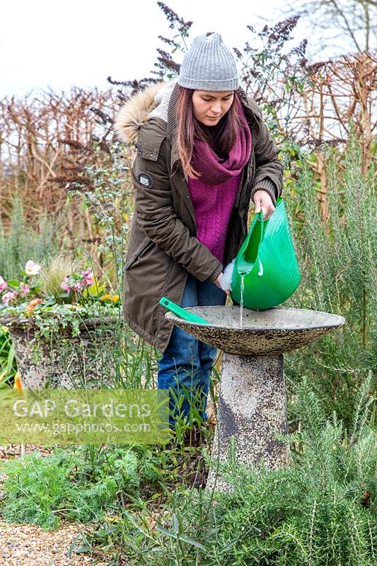 Woman pouring warm, soapy water into bird bath to wash it. 