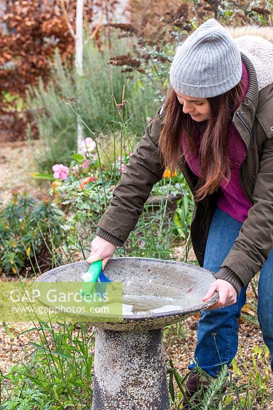 Woman washing bird bath with scrubbing brush and soapy water.