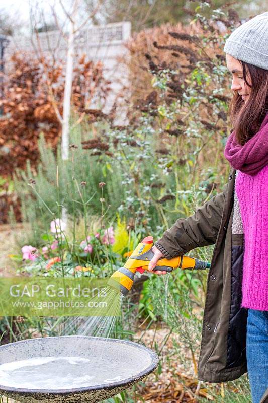 Woman rinsing soapy water from a bird bath with garden hose. 