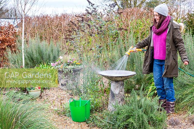 Woman rinsing soapy water from a bird bath with garden hose. 