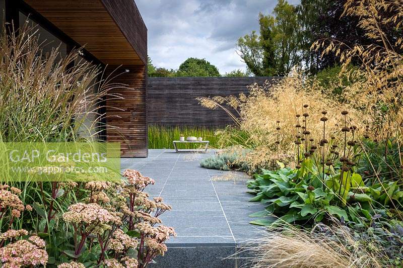 View across the patio in contemporary garden, bordered by mixed planting of perennials and grasses.  Designed Elks-Smith Garden Design. 