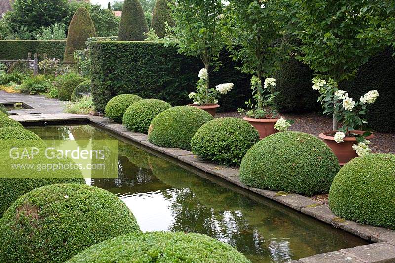 Cushion-shaped topiary balls in the Upper Rill garden at Wollerton Old Hall, Shropshire, UK. 