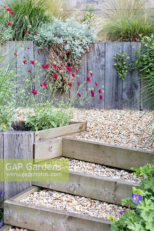 A steeply sloping suburban garden is made accessible with timber steps backfilled with decorative gravel. Timber clad retaining walls support the terraced beds. Wiltshire, UK.