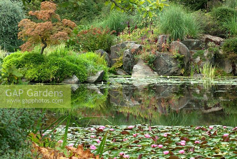 View across lake with waterlilies to planted rockery beyond