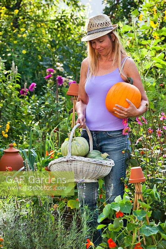 Women with harvested pumpkins