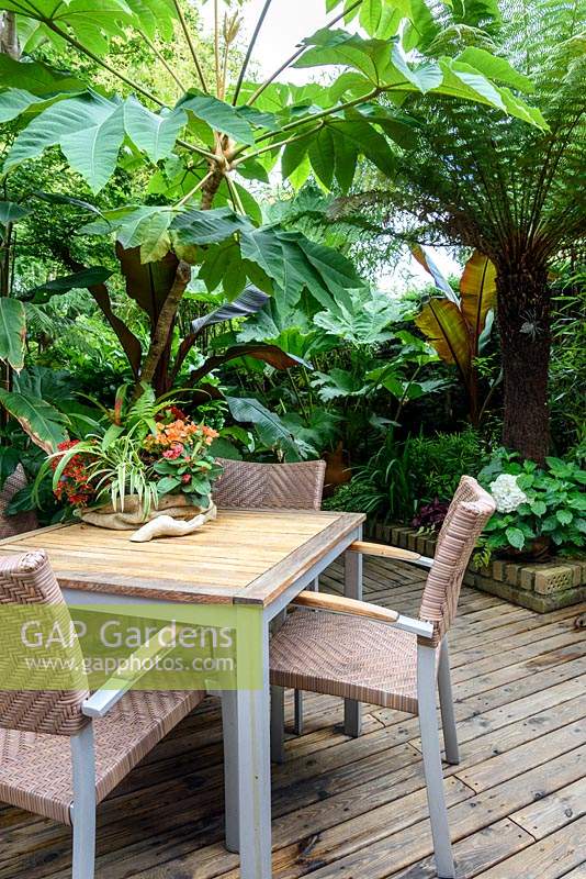 Table and chairs on decking surrounded by bold, architectural foliage plants 