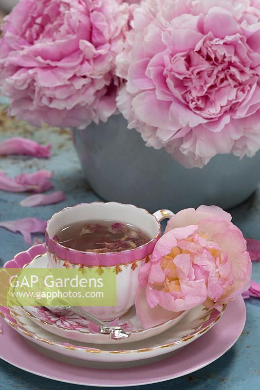 Vintage china decorated with pink Peony booms.
