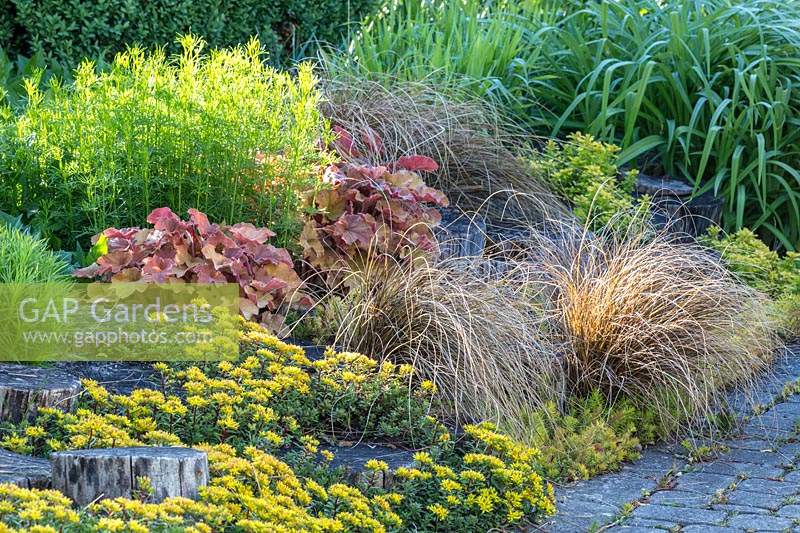 View of mixed border with flowering perennials, ornamental grasses and foliage plants. 
