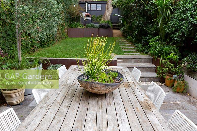 A Euphorbia tirucalli - Firesticks planted in a bespoke clay pot, used as a centrepiece on an outdoor table.