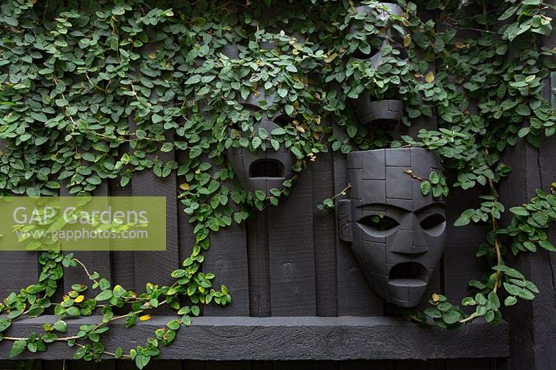 A black painted timber fence decorated with three Aztec style black wooden masks that have Ficus pumila, - Creeping Fig - growing over them.
