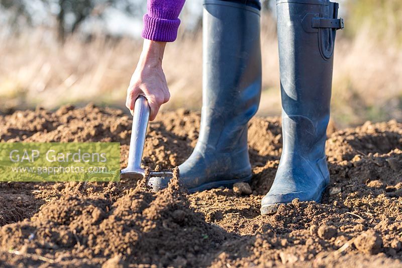 Woman using fork in soil. 