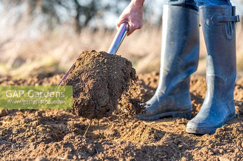 Woman digging soil using spade. 