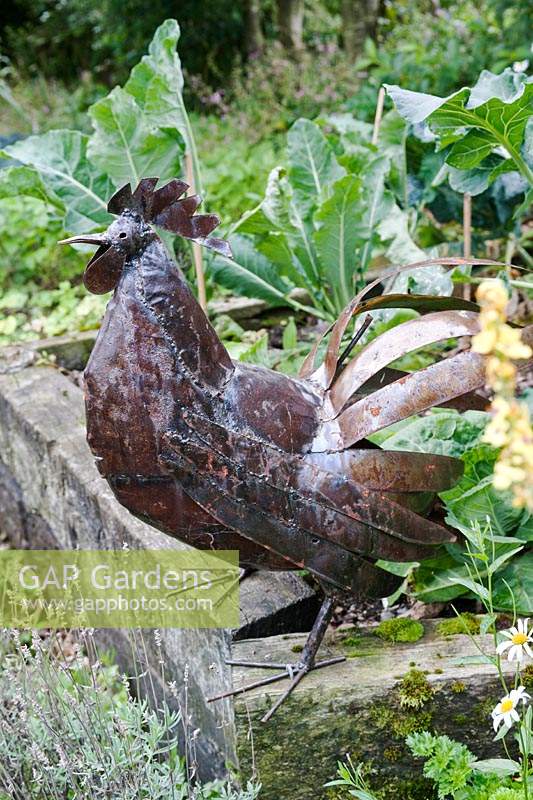 Metal rooster sculpture sitting on the raised vegetable bed. 