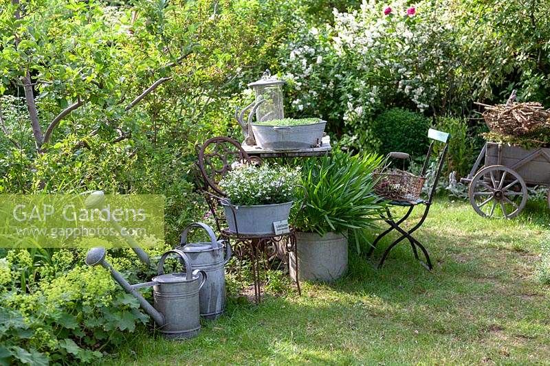Vintage garden decoration with tin pots, antique chairs and old watering cans