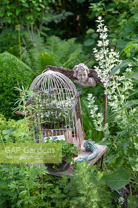 A bird cage with plants displayed on a wooden chair with other collectables, all set in a garden