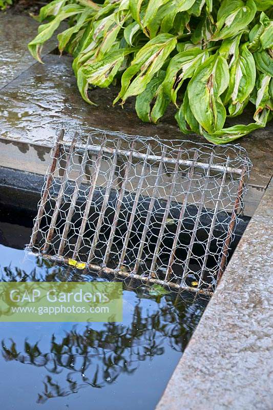 Wire mesh ladder for animals to escape the pond in the walled garden. 