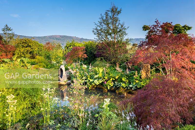 A Meditation Garden, view to the focal stone sculpture on rocks 
reflected in water. A show garden with distant backdrop of hills. 
Planting includes: Acer palmatum 'Shindeshojo', Acer palmatum 'Dissectum 
Atropurpureum', Metasequoia glyptostroboides - Dawn Redwood, Gunnera manicata, 
Rodgersia aesculifolia and Hosta.  Acer palmatum dissectum 'Viridis', 
Aquilegia 'Nora Barlow' and Enkianthus campanulatus in the foreground.