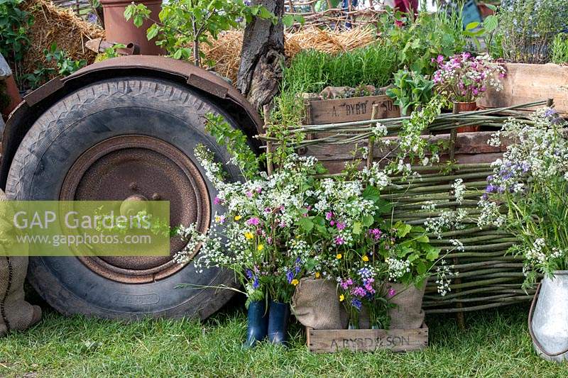Wildflowers on 'Sophie's country Garden Flowers' display with woven fence panel and tractor