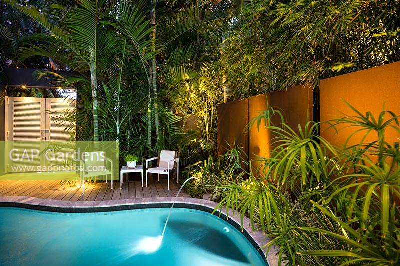 Contemporary urban garden with plenty of privacy from walls, gates and palms. Garden has swimming pool, decked area and seating in front of tropical planting
