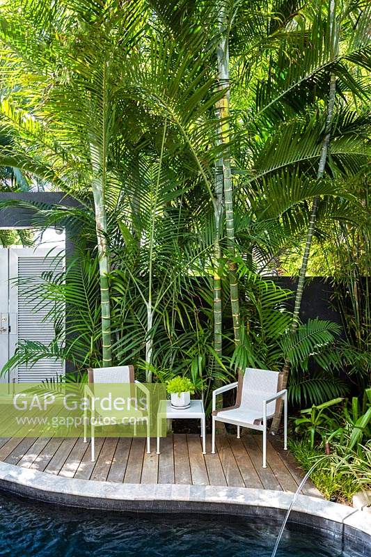 Small urban garden with plenty of privacy thanks to walls, gates and palms, other features include swimming pool, deck and seating area