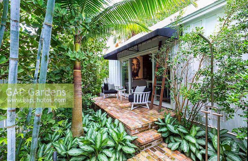 View of tropical planting either side of brick steps up to small terrace outside 
house. Plants include: Bambusa chungii - Blue Bamboo, Satakentia liukiuensis - Palm, variegated ground cover of Aglaonema 'Silver Queen'.
