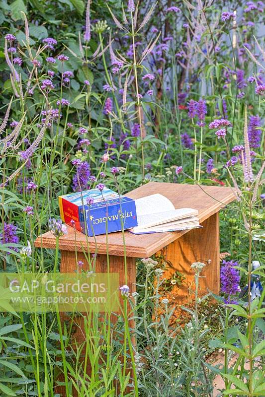 Wooden bench with book surrounded by Verbena bonariensis, 
Agastache 'Blackadder' and Veronicastrum virginicum 'Fascination' in 
'Southend Young Offenders': A Place to Think' garden
