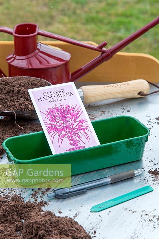 Tools and materials for sowing Cleome hassleriana