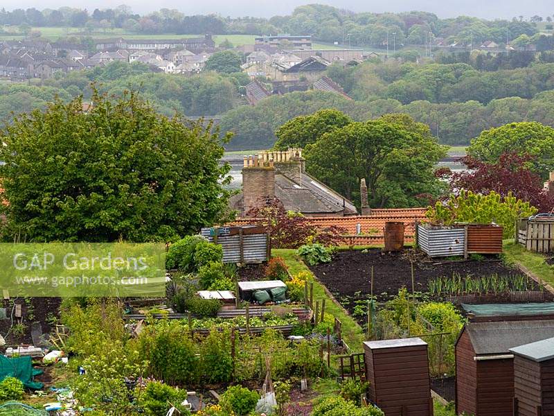 View over an allotment with its sheds and compost bins to the countryside beyond