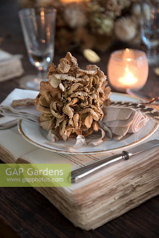 Dried Hydrangea flowerhead place setting on vintage book charger