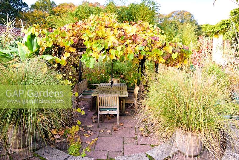 Vine covered arbour and dining area in the sunken garden, framed by a pair of potted Chionochloa conspicua at the Barn House, Chepstow, UK.

