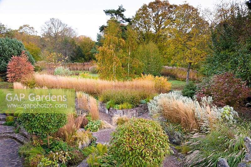 Aerial view of terraced garden with autumn colour at Barn House, Chepstow, UK.
